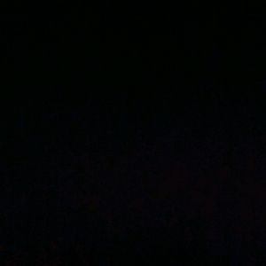 Meet your Posher, Brina